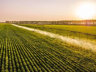 Luftaufnahme von landwirtschaftlichen Sprinklern zur Bewässerung eines großen Sojabohnenfeldes bei Sonnenaufgang - NOF00415