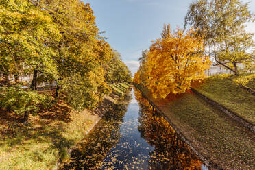 Herbstlich gefärbte Bäume am Lendkanal - DAWF02113