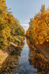 Herbstlich gefärbte Bäume am Lendkanal - DAWF02114