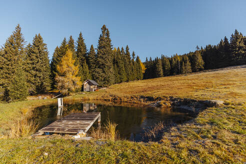 Kleiner Teich im Lachtal im Herbst - DAWF02117