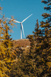 windkraftanlage vor blauem Himmel mit Herbstbäumen im Vordergrund - DAWF02123