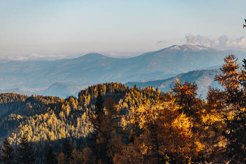 Bewaldete Berge im Lachtal an einem nebligen Herbstmorgen - DAWF02136