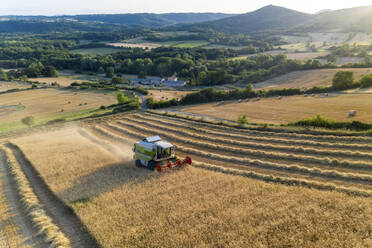 Luftaufnahme eines Weizenfeldes, das von einem weiß-grünen Traktor in Reihen abgeerntet wird, während die Sonne im Juli untergeht, mit einem kleinen Bauernhof im Hintergrund, Puy de dome, Auvergne, Frankreich. - AAEF13291