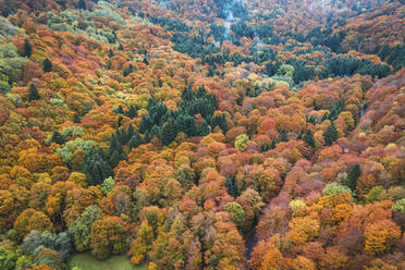 Luftaufnahme eines Waldes mit grünen, gelben und orangefarbenen Bäumen während der Herbstzeit, Aiguillier-Massiv, Orcival, Rochefort Montagne, Puy de dome, Auvergne, Frankreich. - AAEF13294