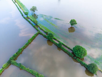 Abstrakte Luftaufnahme von überflutetem Ackerland mit Spiegelung des Himmels während einer Hochwasserperiode im Sommer in den Überschwemmungsgebieten der Maas, Beugen, Noord-Brabant, Niederlande. - AAEF13319