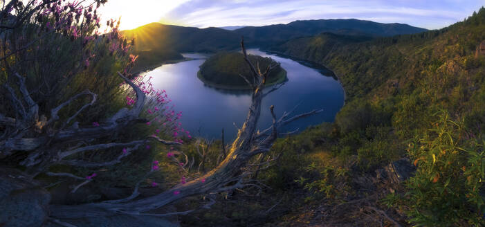 Frühlingsblick auf das Tal des Mäanders von Melero bei Sonnenaufgang, Blumen - CAVF95068