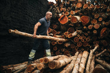 Holzfäller ordnet Brennholzstämme in der Fabrik - GRCF01047