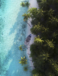 Aerial view of a boat pushed up to the beach on a local island, Felidhoo, Yaavu atoll. Maldives. - AAEF13408