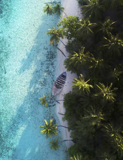 Aerial view of a boat pushed up to the beach on a local island, Felidhoo, Yaavu atoll. Maldives. - AAEF13408