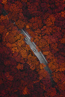Aerial view of a few vehicles driving on the road through the forest in Vladivostok, Russia. - AAEF13423