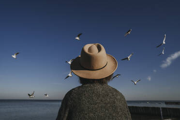 Woman in front of seagulls flying in blue sky - SSGF00248