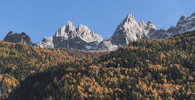 Bergketten durch Herbstwald an einem sonnigen Tag, Chamonix, Frankreich - JAQF00874