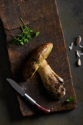 Top view of raw cut Boletus edulis mushrooms on wooden chopping board with garlic and parsley in light kitchen during cooking process - ADSF31645