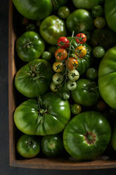 Draufsicht auf einen Zweig mit reifen bis unterreifen Beerentomaten über einem Strauß grüner Tomaten - ADSF31654