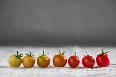 Reihe grüner und reifer Kirschtomaten mit Reifungsstadium auf weißer Gaze - ADSF31659