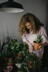 Woman holding houseplant at home - SEAF00035
