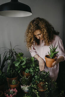 Frau hält Zimmerpflanze zu Hause - SEAF00035