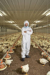 Man with arms crossed looking at hen in factory - VEGF05221