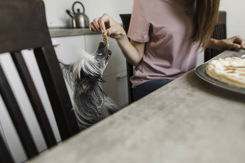 Woman feeding pancake to dog in kitchen - LLUF00350