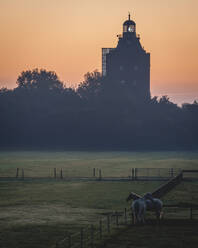 Germany, Hamburg, Two horses standing in paddock at dusk with Great Tower Neuwerk lighthouse in background - KEBF02064