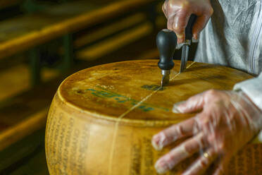 Portrait of cheese maker carrying hard cheeses - Stock Image - F023/1666 -  Science Photo Library