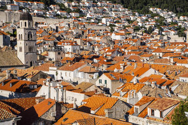 Dächer in der Altstadt von Dubrovnik - CAVF95178