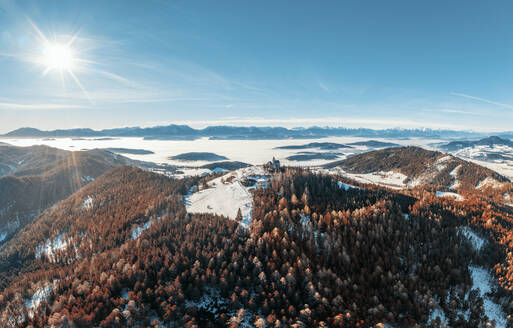 Mit Nadelbäumen bewachsener Berg an einem sonnigen Tag am Magdalensberg, Klagenfurt, Kärnten, Österreich - DAWF02281