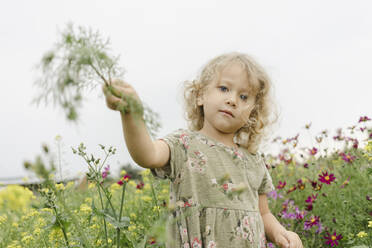 Niedliches Mädchen spielt inmitten von blühenden Pflanzen - SEAF00077
