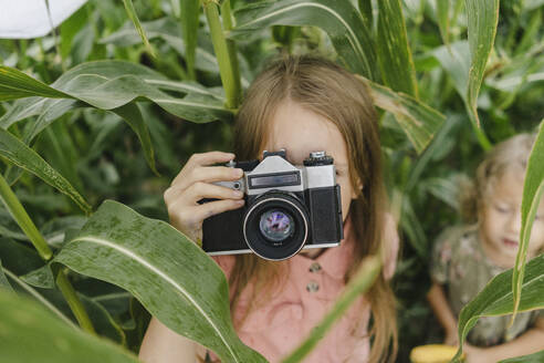 Girl photographing through vintage camera in corn field - SEAF00079