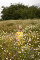Cute baby girl walking amidst flowers on meadow - SSGF00258