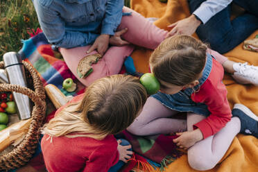 Geschwister spielen mit Obst beim Wochenendpicknick - ASGF01682