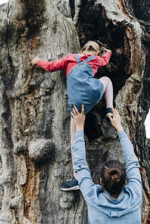 Mutter hilft ihrer Tochter beim Klettern auf einen Baum im Park - ASGF01713