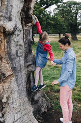 Mutter hilft ihrer Tochter, von einem Baum im Park herunterzukommen - ASGF01714