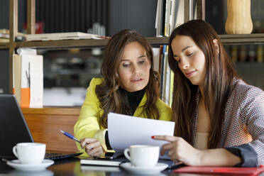 Colleagues discussing over document at table in cafe - IFRF01239