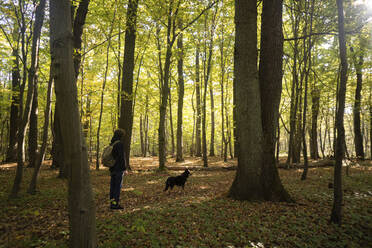 Mann wandert mit Hund in einem Waldgebiet - SSGF00264