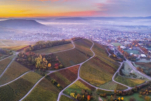 Germany, Baden-Wurttemberg, Korb, Drone view of vineyards and surrounding town at foggy autumn dawn - STSF03112