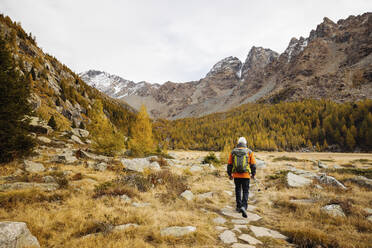 Älterer Tourist beim Wandern im Gras in den Rätischen Alpen, Italien - MRAF00772