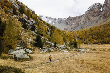 Älterer Tourist auf einem Wanderweg in den Rätischen Alpen, Italien - MRAF00775