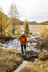 Senior hiker with poles climbing on mountain at Rhaetian Alps, Italy - MRAF00777