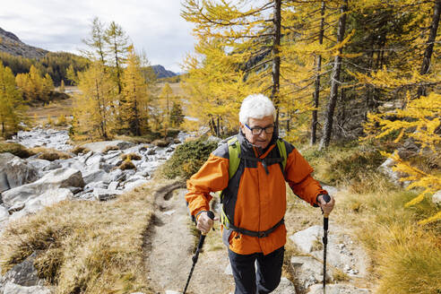 Senior man hiking on mountain at Rhaetian Alps, Italy - MRAF00779