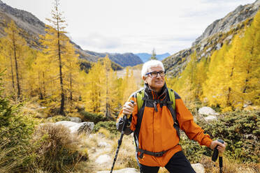 Älterer Tourist mit Brille, der auf einem Berg in den Rätischen Alpen, Italien, nachdenkt - MRAF00784