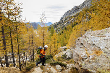 Älterer Mann beim Klettern auf einem Berg in den Rätischen Alpen, Italien - MRAF00790