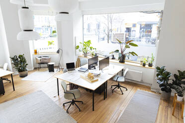 Computers and potted plant arranged at workplace - FKF04553