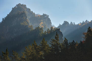 Bewaldete Landschaft des Kaukasusgebirges im Herbstmorgen - KNTF06522