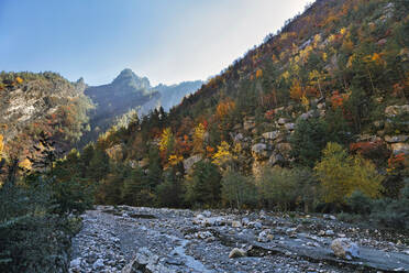 Bewaldetes Tal im Kaukasusgebirge in der Herbstdämmerung - KNTF06523