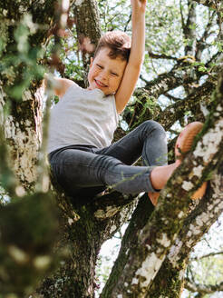 Von unten ganzer Körper des positiven riskanten Jungen, der auf den Zweigen eines Baumes sitzt, während er Spaß in der Natur am Sommertag hat - ADSF31777