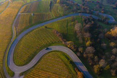 Aerial view of asphalt road winding through autumn vineyards at dusk - WDF06679