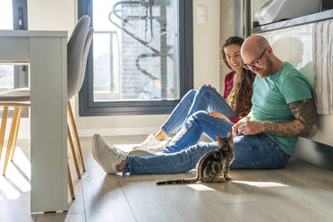 Smiling couple looking at cat sitting on floor - DLTSF02399
