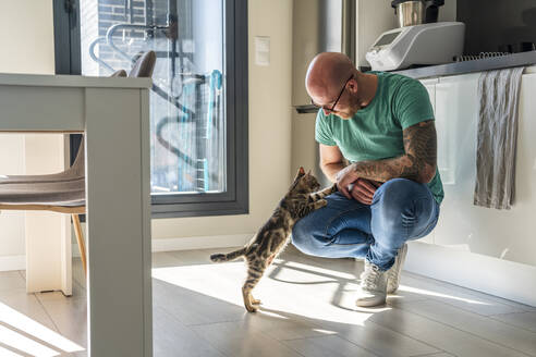 Man playing with cat at home - DLTSF02403