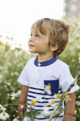 Blonder Junge schaut inmitten von Blumen auf einer Wiese - SSGF00275